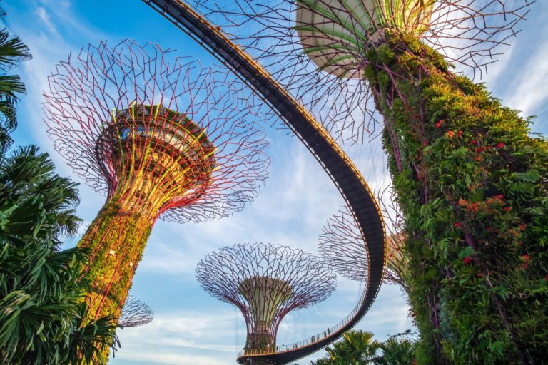 the supertree grove at gardens by the bay with marina bay sands hotel in singapore landmark and t20 Xx3KmV 1 1 1