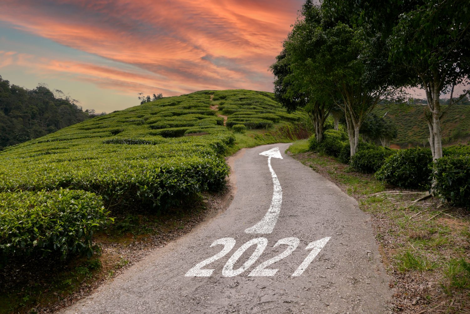road path 2021 ahead beyond